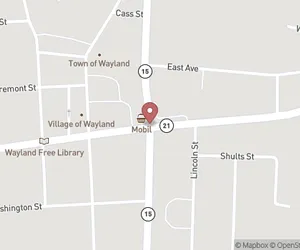 Village of Wayland Clerk Map