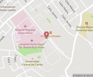 Hospital Regional Bayamón Ave. Laurel Map